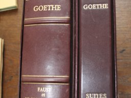 Goethe avec suites 